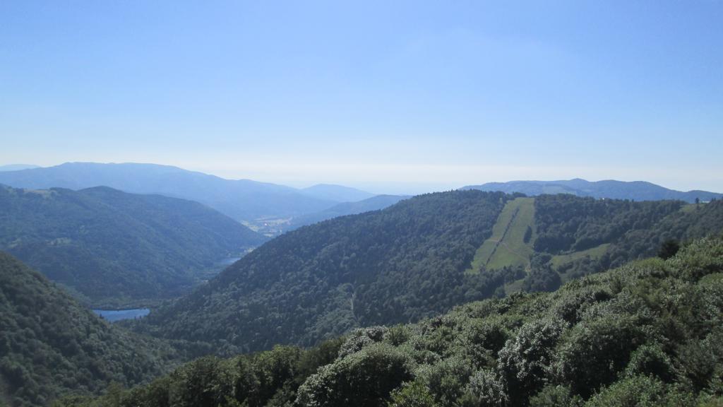 Camping De Masevaux מראה חיצוני תמונה